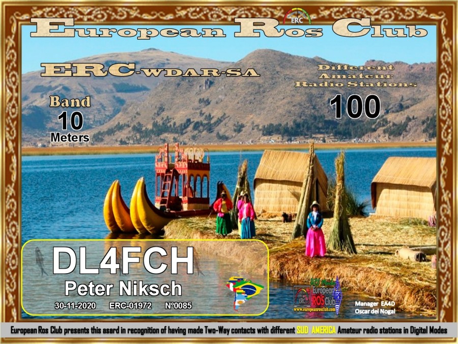 WDSA 10m 100