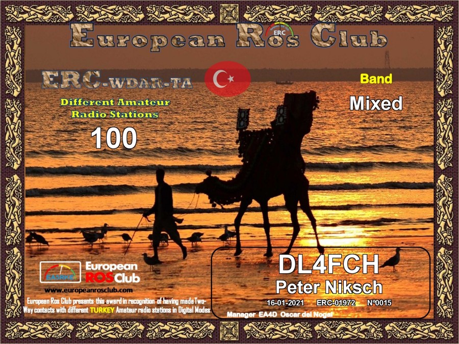 WDTA Mixed 100