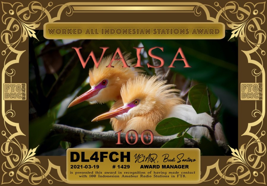 WAISA 100