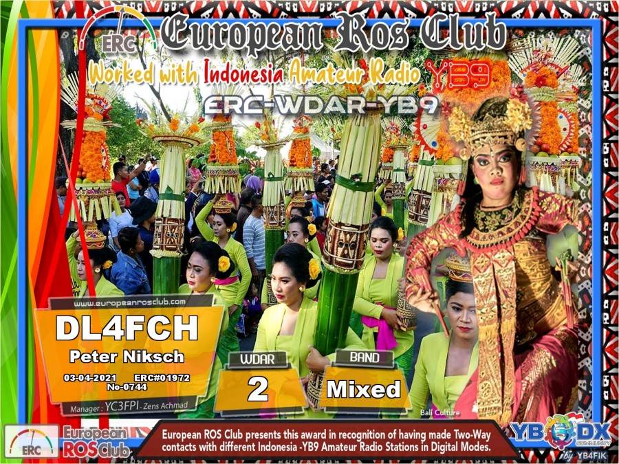 WDYB9 Mixed 2