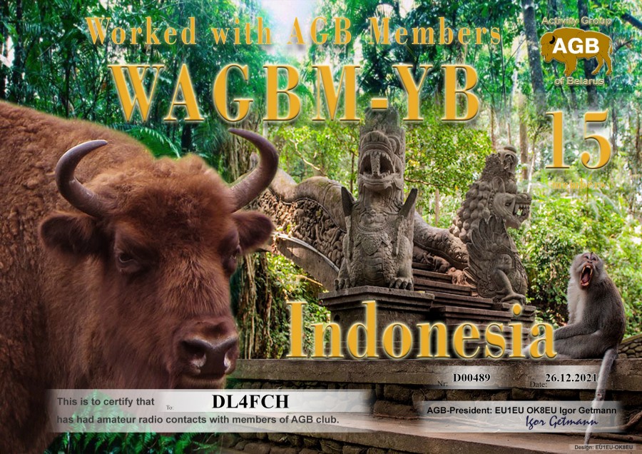 WAGBM-YB 15