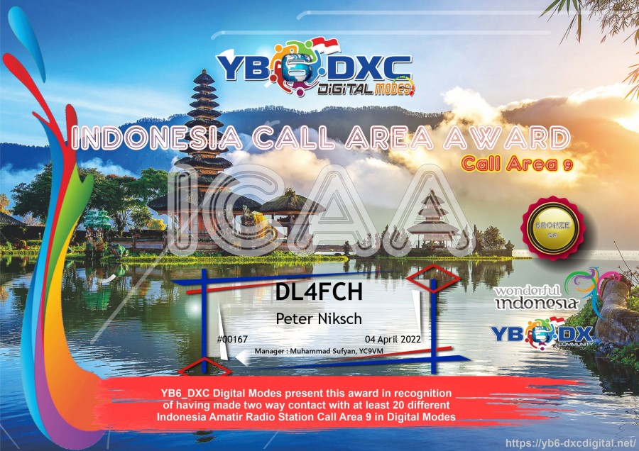 ICAA9 Bronze