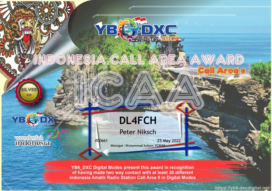 ICAA9 Silver