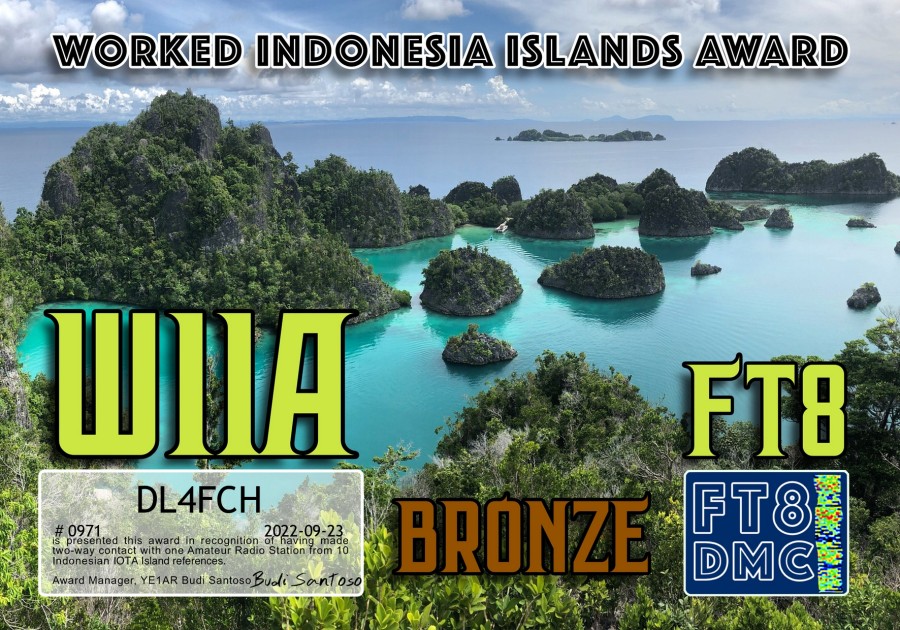 WIIA Bronze