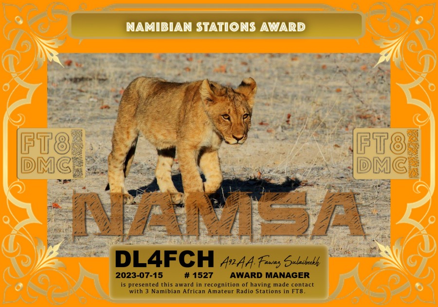 NAMSA