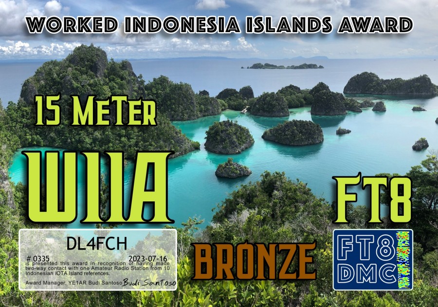 WIIA 15m Bronze