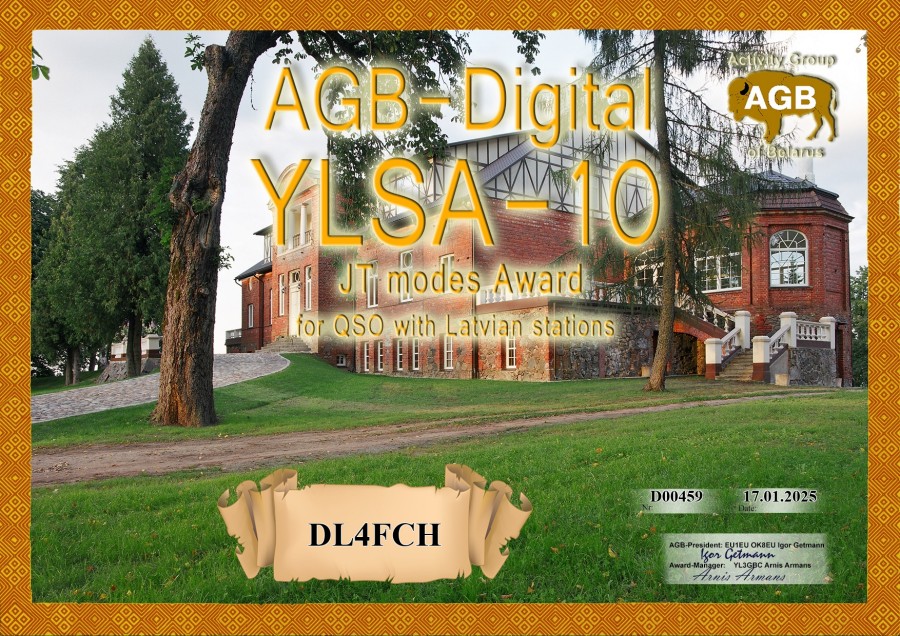 YLSA Basic V