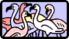 Bilder Gallerie